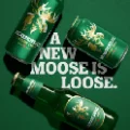 moosehead